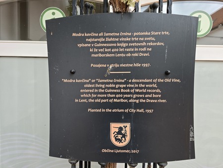 Prleška brotva 2025 (11)